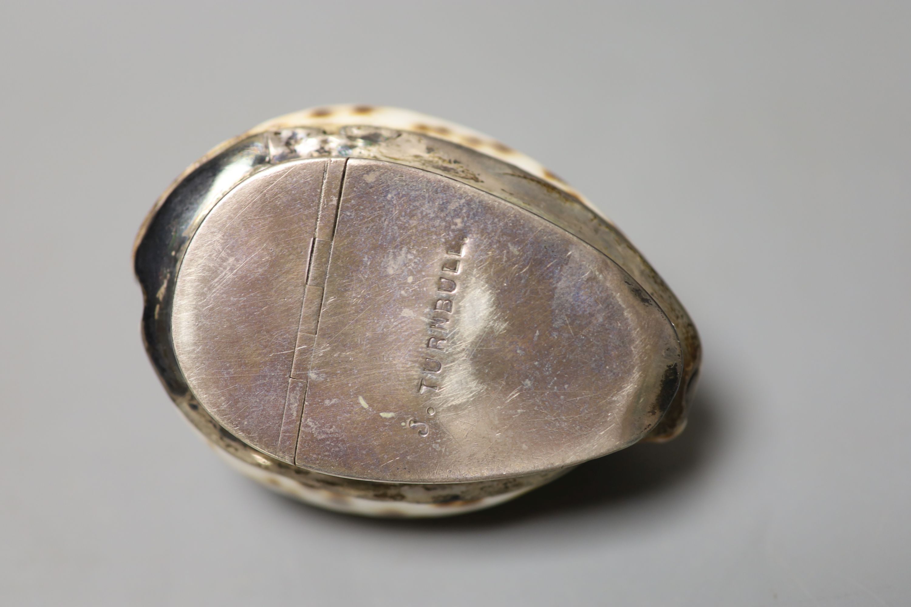 A 19th century white metal mounted horn snuff mull, 7cm and a similar white metal mounted cowrie shell snuff box, 73mm(a.f.),